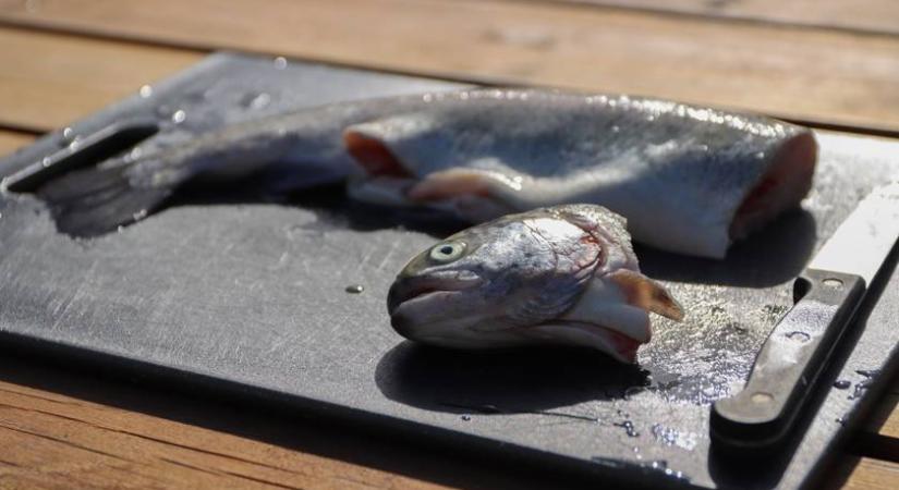 Bele ne harapj ha ilyen húst vettél! Baktérium miatt hívták vissza