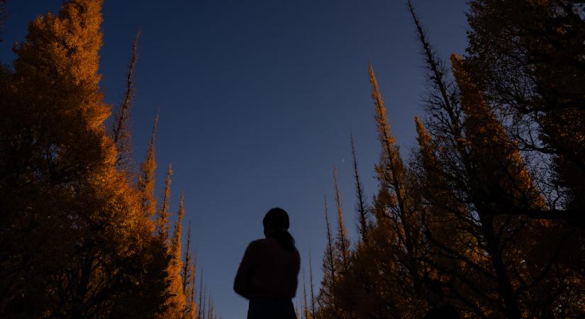 Kellemes, derült idővel indul a hétvége