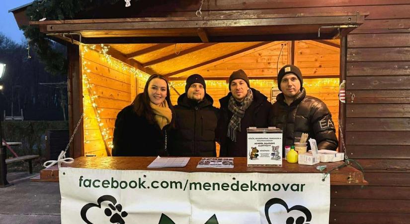 Állatok Karácsonya Mosonmagyaróváron: vásároljon fenyőt és segítsen a mentett állatokon