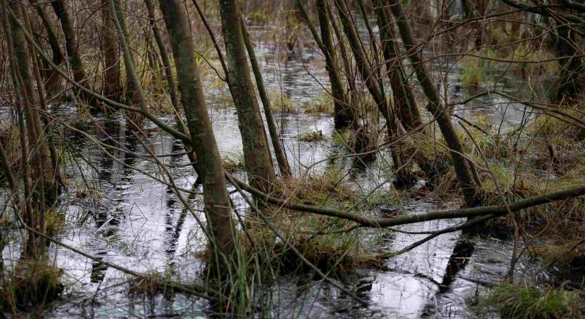 Megkezdődött Magyarország legértékesebb vízi csiga-élőhelyének fejlesztése
