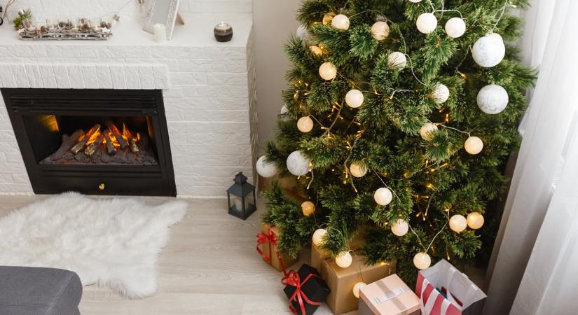 Hová kerüljön a fa? Lakberendezők szerint ide kellene raknod