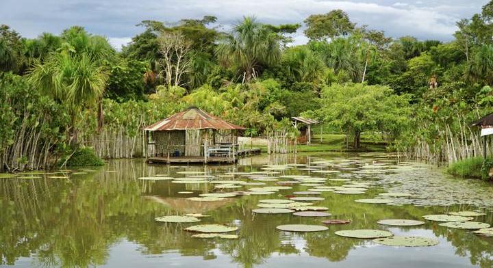 Ez a világ egyik legrejtélyesebb folyója: egyre több új fajt fedeznek fel benne