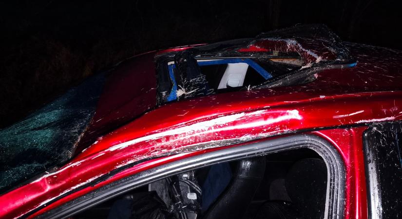 Megsérült a sofőr, amikor hatalmas szarvas csapódott a kocsijának Esztergomnál