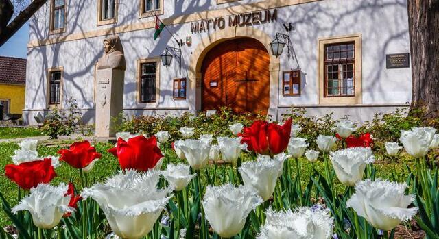 Turiszikai díj: virágos Mezőkövesd