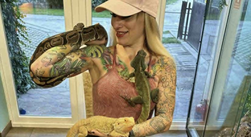 Sztefán, a szakállas szeretetbomba – amikor egy hüllő szívet lop