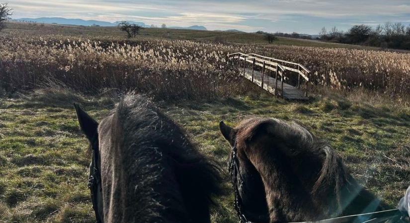 Lovas járőrök a Káli-medencében (galéria)