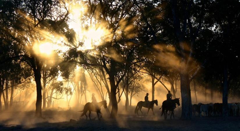 A legváratlanabb westernsorozat a Netflixen, ráadásul még jó is