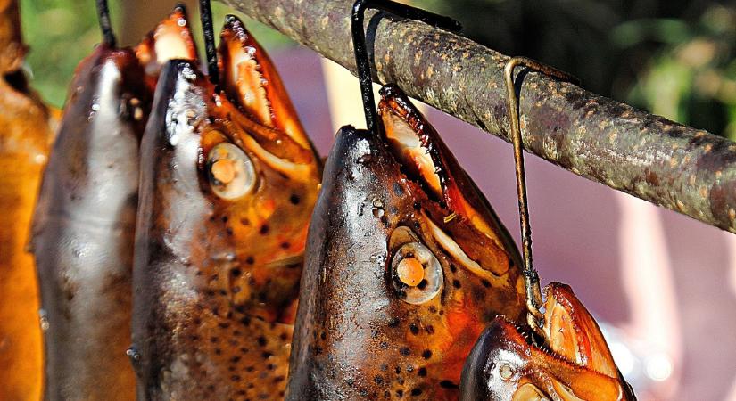 Élelmiszert hív vissza az Aldi