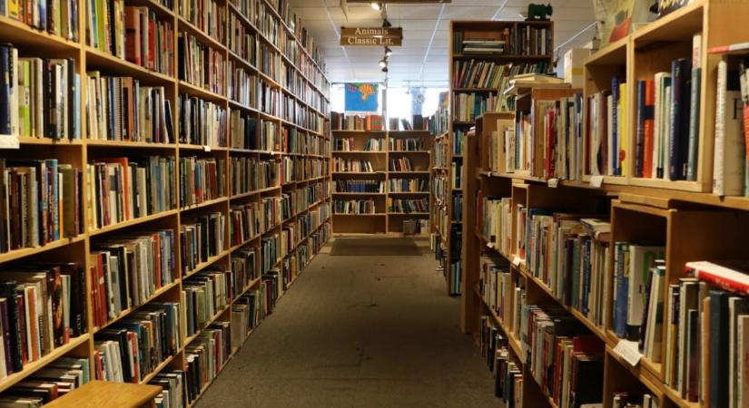 Lopást emlegetnek, és már a regényírók is tartanak az AI-tól