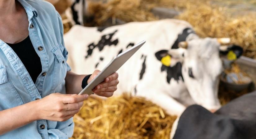 Traktor, drón, algoritmus: beléptünk a mesterséges intelligencia korába az agráriumban