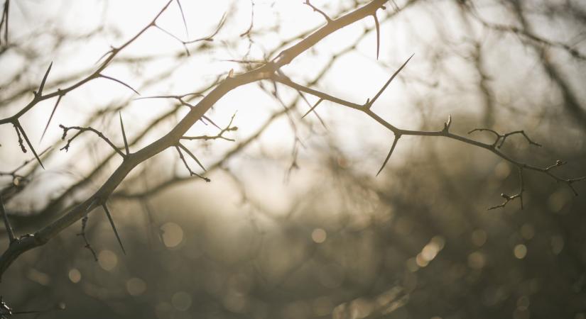 Nagyot fordul az időjárás itthon: erre jó lesz készülni a hétvégén