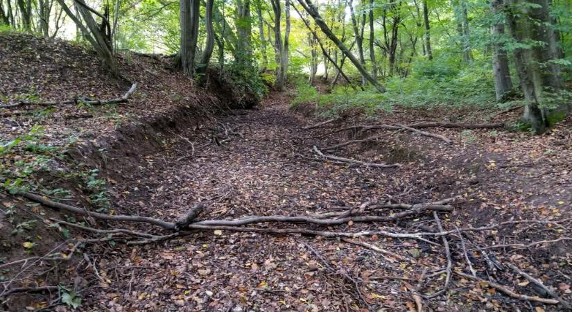 Olyan, mintha az emberi vérellátásból eltűnnének a hajszálerek