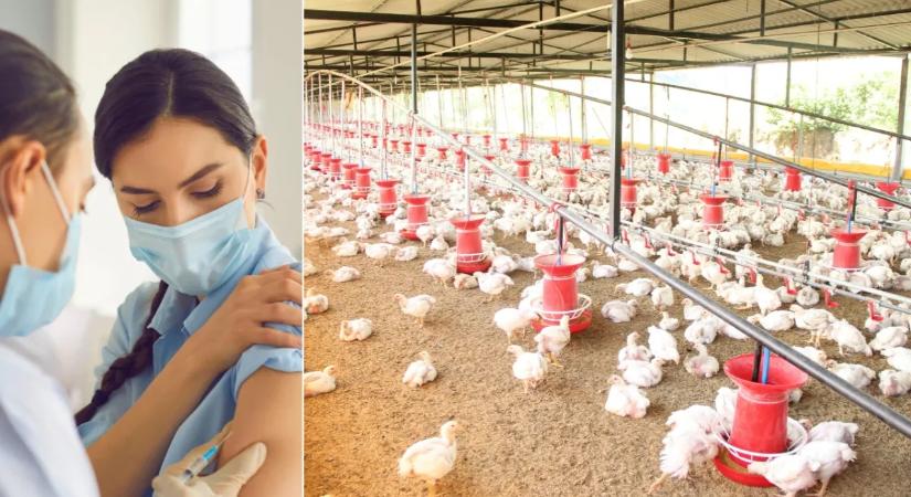 Brutális vírus jöhet a Covid-19 után, megszólalt Dr. Rusvai Miklós