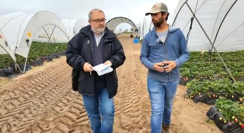 Váratlan húzás a spanyoloktól, a fél világ lélegzetvisszafojtva várja az eredményeket