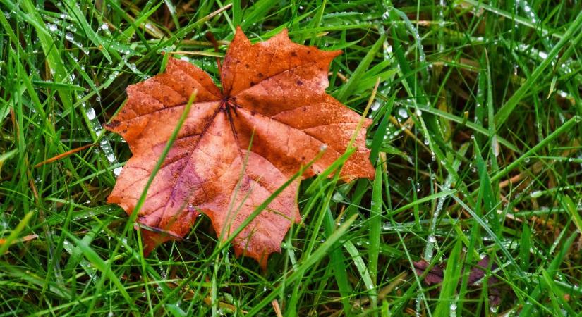 Adél megkeveri az időjárást: keleten ázni, nyugaton derülni fogunk VIDEÓ