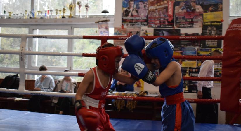 Polgármesteri Kupa ökölvívóverseny Beregszászban