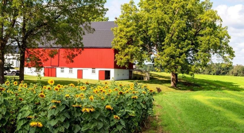 Újabb változás az Otthon Start Programban, százezrek jutnak támogatáshoz