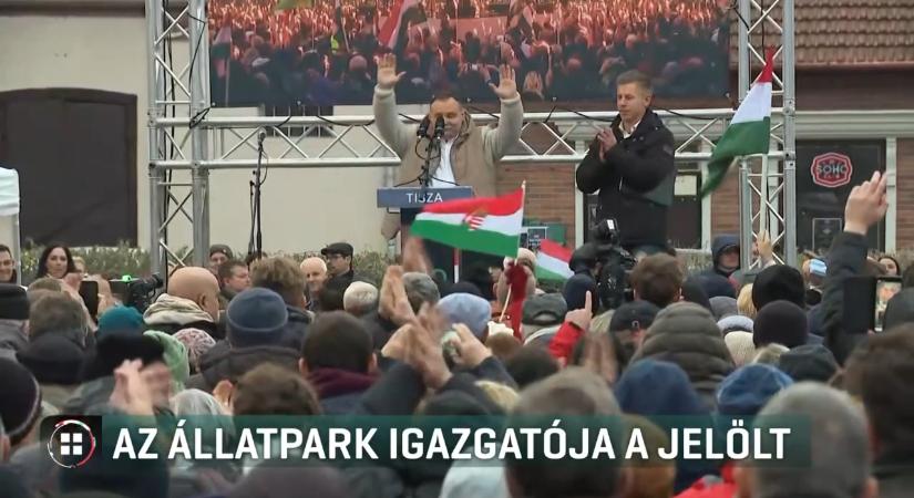 Három nappal ezelőtt vállalta el a jelöltséget a nyíregyházi állatpark igazgatója, aki a Tisza Párt színeiben indul