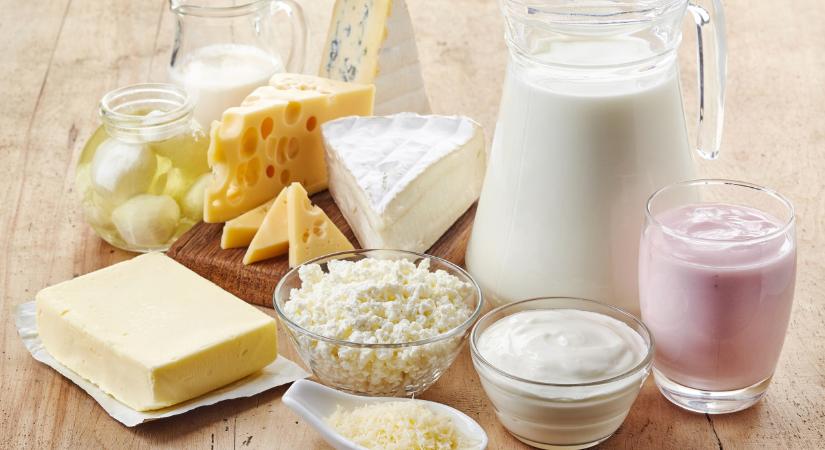 Nehéz helyzetben a magyar tejtermelők: így segítenék az ágazatot