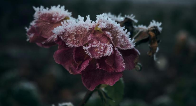 Nagyrészt erősen felhős vagy borult idő várható