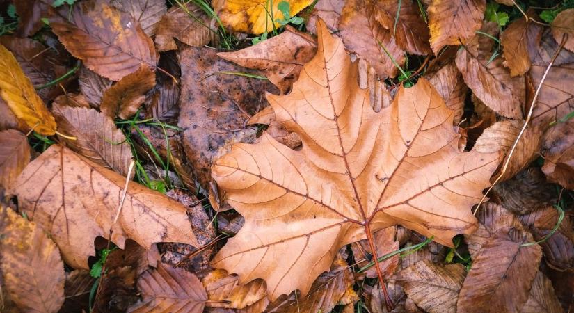 Milyen idő lesz holnap Pécsen? Tartogat még meglepetést a november?