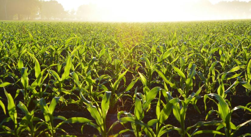 Itt az armageddon: világvége-tanyát hozott létre a hétgyermekes édesapa