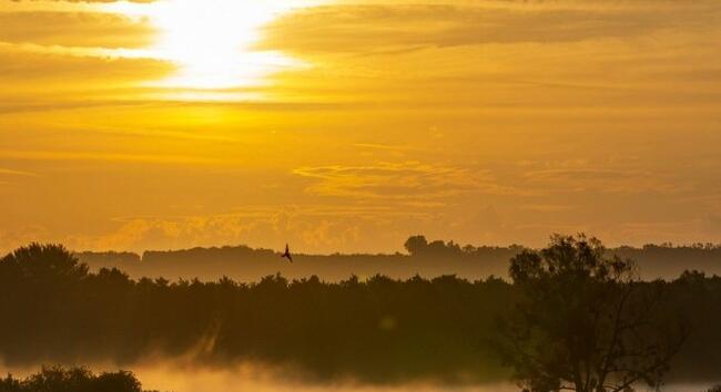 Időjárás-előrejelzés András napra – Mutatjuk, mit jelez előre a karácsonyi időjárásra
