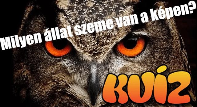 Kvíz: Felismered, melyik állat tekint rád a képen keresztül? Ez nem lesz könnyű!