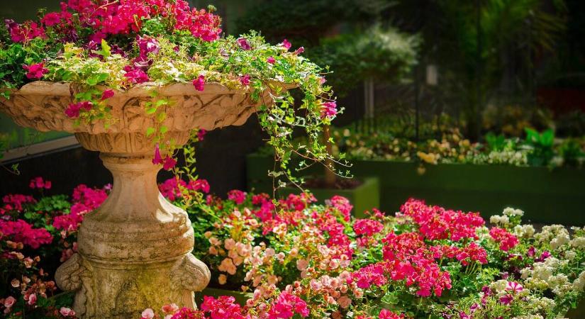 Tematikus kert: kell-e valamilyen tematikát választani a magánkertben?