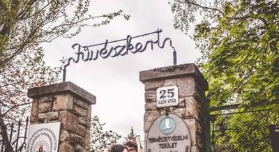 Varázsvirágok, boszorkányfüvek, koffeinséta és az elmét befolyásoló növények – A Füvészkert télen is vár