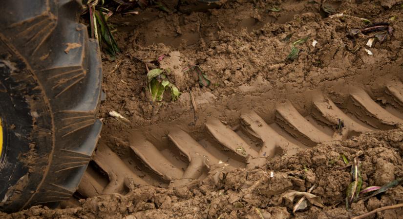 Ezt a traktort veszik most a magyarok: durva, mennyit eladnak belőle