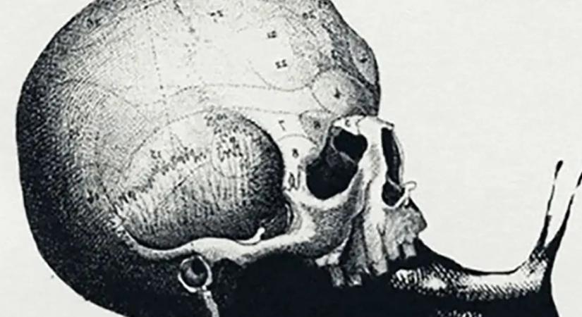 Mit szúrsz ki először a képen? Ez a személyiségteszt rávilágít, hogy milyen munka való neked