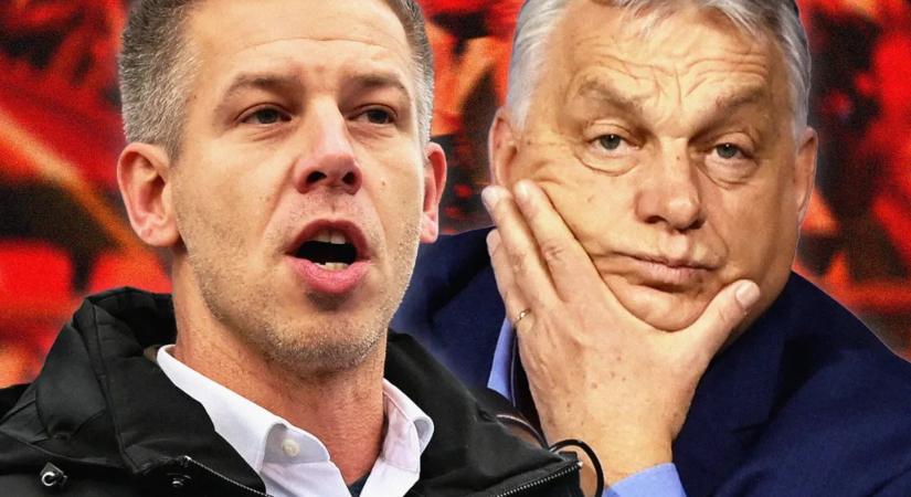 Orbán tízmilliárdot ígért az állatparknak, eközben az igazgató a Tisza jelöltje lett