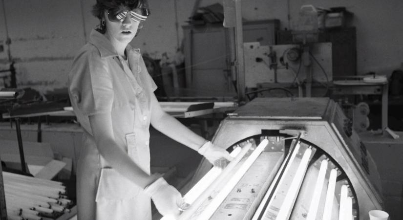 Volt egyszer egy Tungsram: Egger, Aschner, a nácik, a kommunisták és a NER