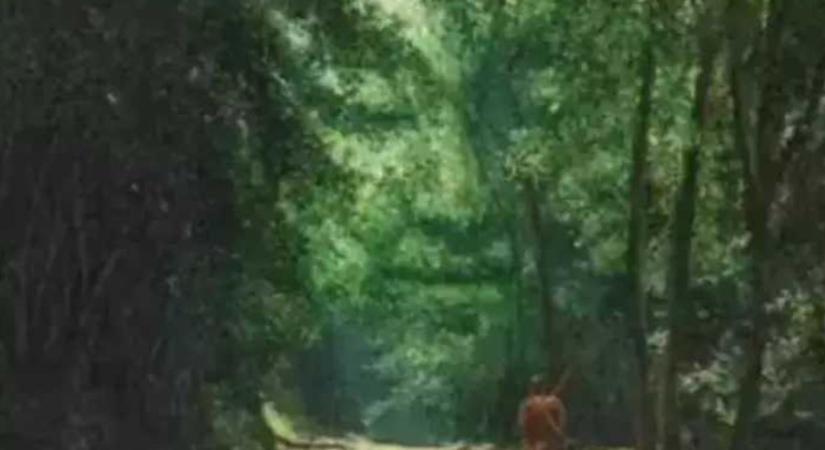 Mit lát a képen? Elárulja, mennyire könnyen tudják manipulálni mások