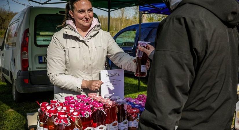 Csipkebogyó, a csodanövény – érdemes most gyűjteni belőle, mert igazi vitaminbomba