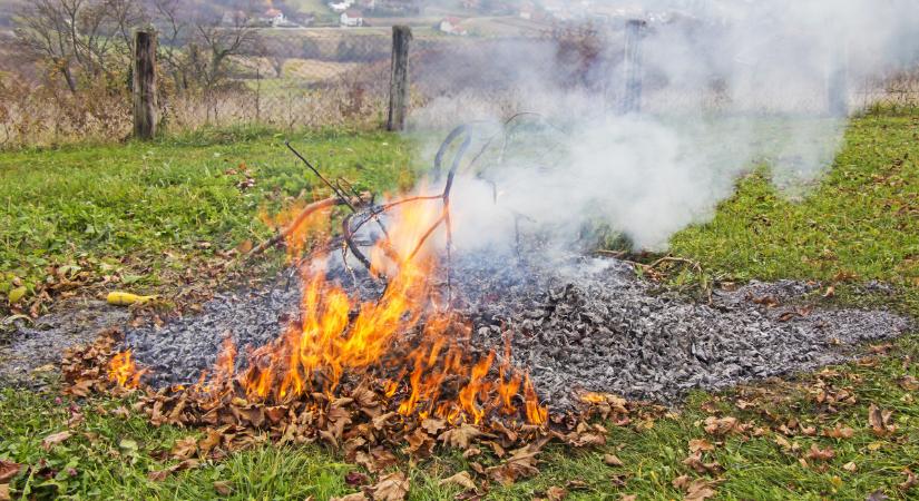 Szakértő: két fontos ok miatt ne égessük el az avart!