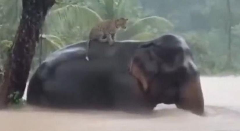 Advent első vasárnapjára