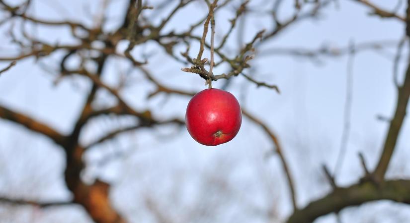 Borongós, nyugodt idővel búcsúzik a november