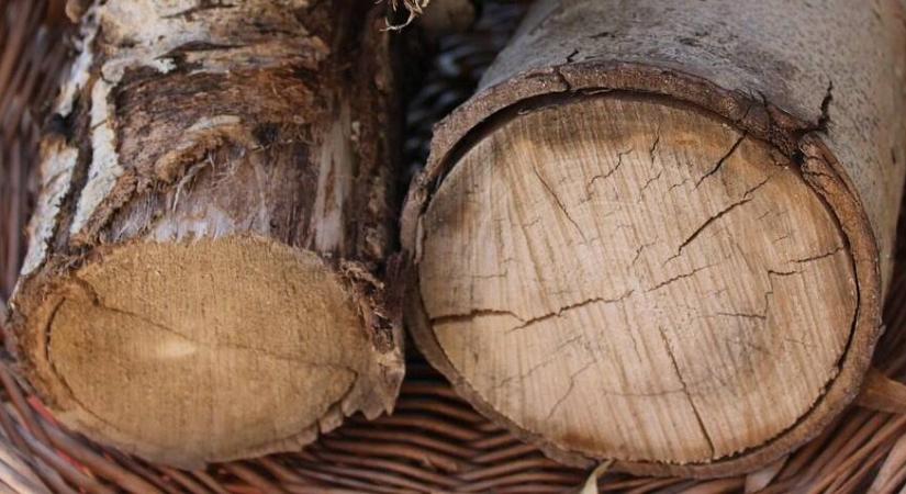 Ennyi ideig kell száradnia a tűzifának, mindenki rosszul tudja