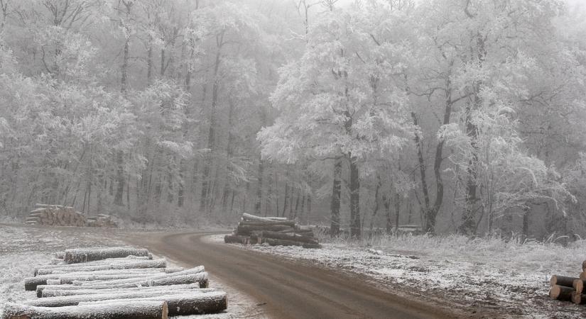 Az ősnéni története