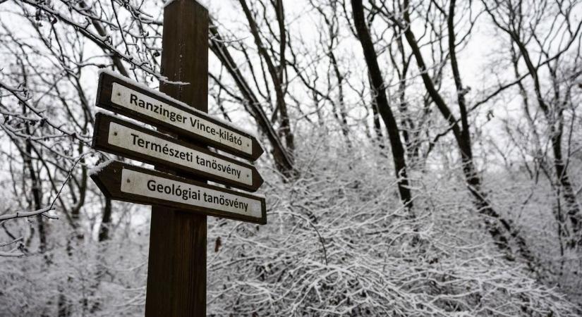 Téli kirándulás hóban: hasznos tippek és tanácsok a biztonságos túrához