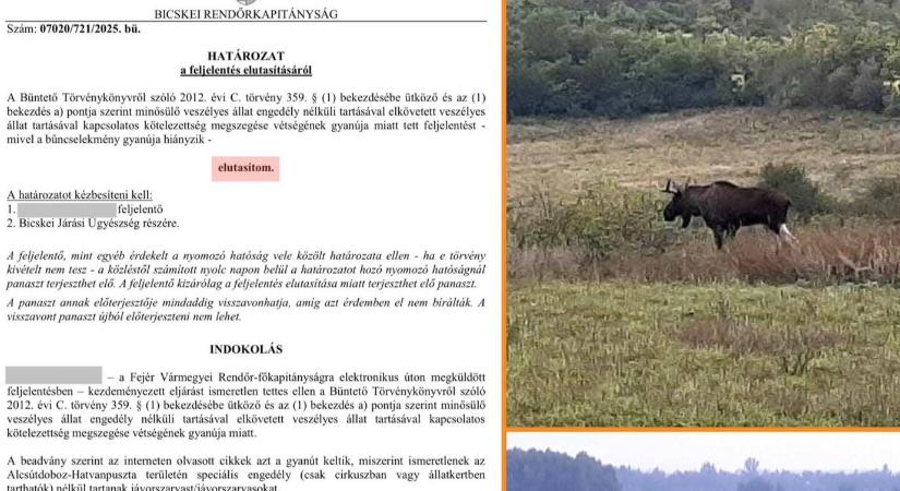 Hadházy Ákos: a rendőrség nem talált jávorszarvasokat Hatvanpuszta mellett