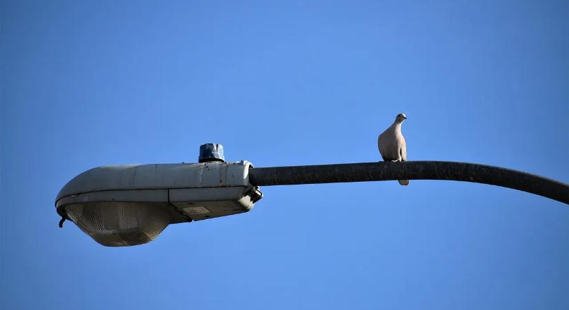 Hogyan hozz létre egyszerűen és gyorsan Microsoft e-mail fiókot