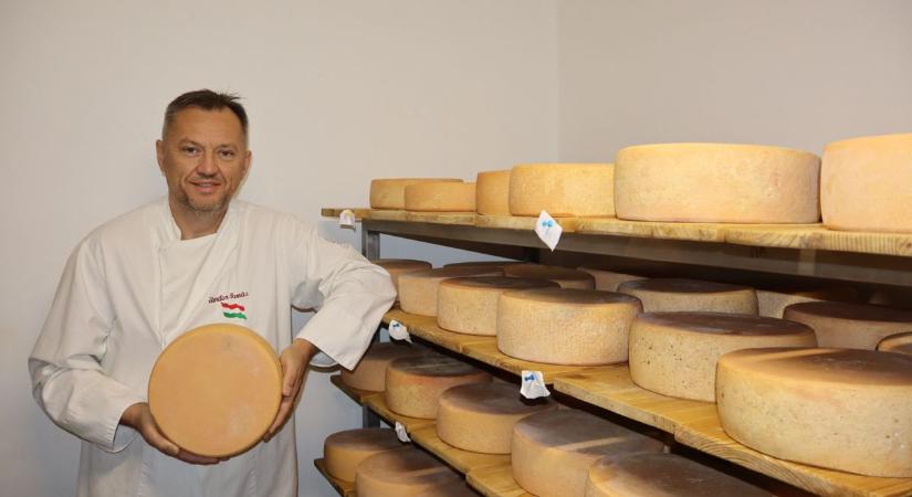 A Bükk ízei nem hazudnak – így lett aranyérmes Sándor Tamás bükki sajtja