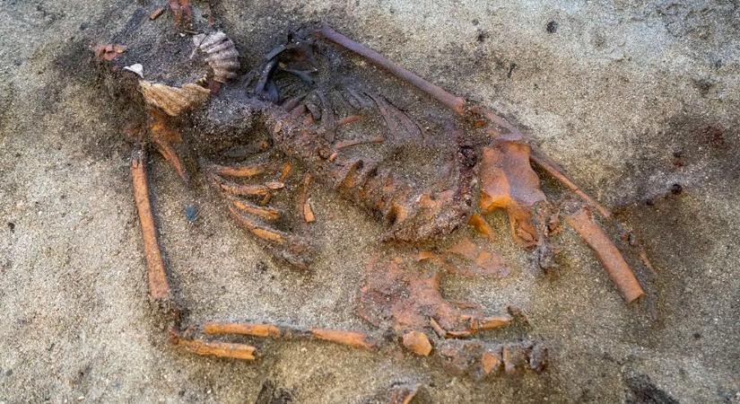 Miért helyeztek kagylóhéjat a halott nő arcára?