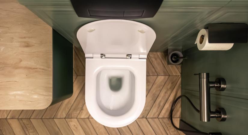 Se az ecet, se a szódabikarbóna, se a hypo nem jó: helyettük ezzel törölje le a WC-ülőkét, ha olcsón akar foltmentes deszkát!