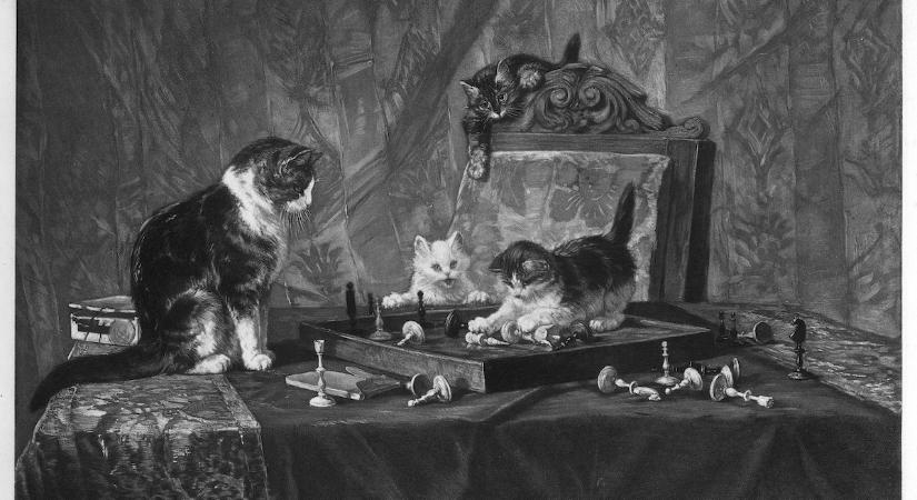 Képeken a bizonyíték, hogy a macskák már évszázadok óta rombolnak