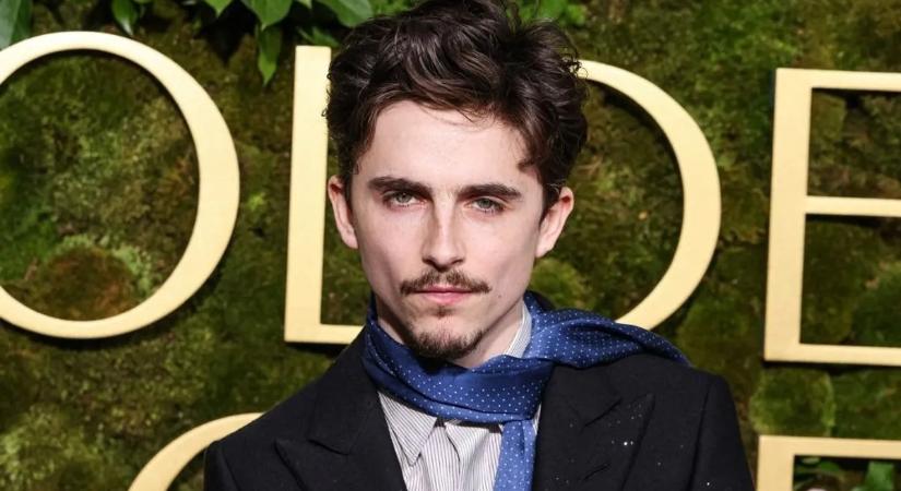 Megoldódott a TikTok egyik rejtélye? Timothée Chalamet rejtőzhet a maszk alatt