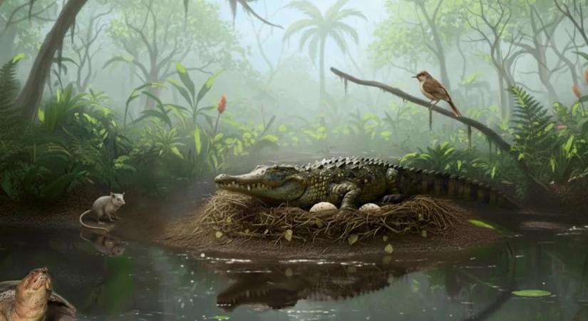 Fára másztak és zuhanórepülésben vadásztak az ausztrál krokodilok